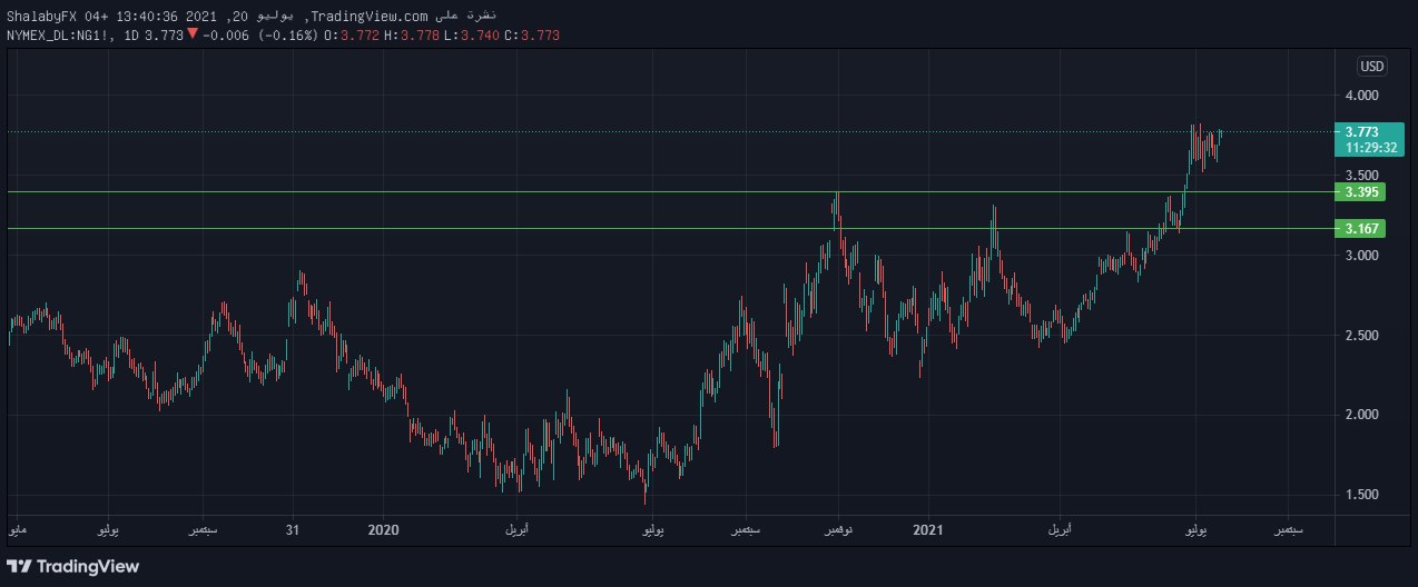 الرسم البياني اليومي للغاز الطبيعي الرسم البياني اليومي للغاز الطبيعي